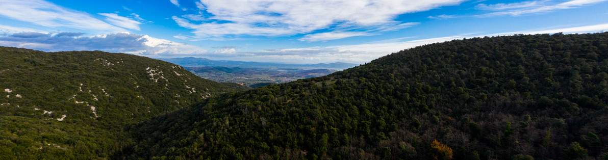 Panoramica_Calvo-small